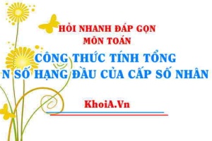 Công thức tính tổng n số hạng đầu của một Cấp Số Nhân (CSN) Toán 11 - Hỏi nhanh đáp gọn